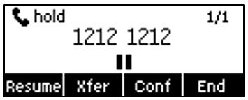 Screenshot: 5.8 Call Hold/Resume