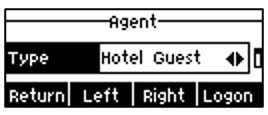 Screenshot: 6.4- Agent
