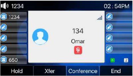 Screenshot: 5.8.1 Mute the Call